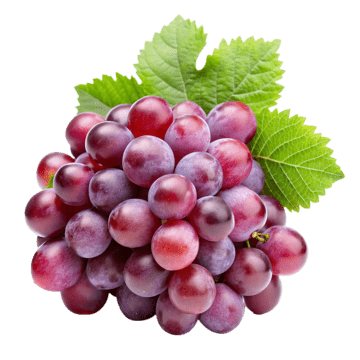 إتيكيت العنب